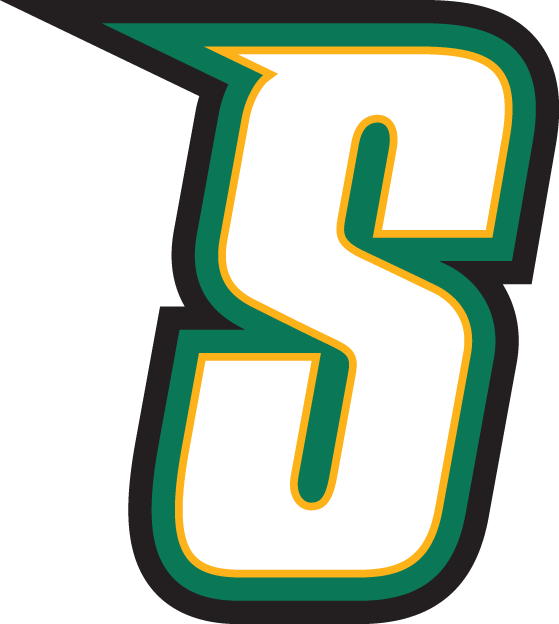 Siena Saints 2001-Pres Alternate Logo v3 iron on transfers for T-shirts